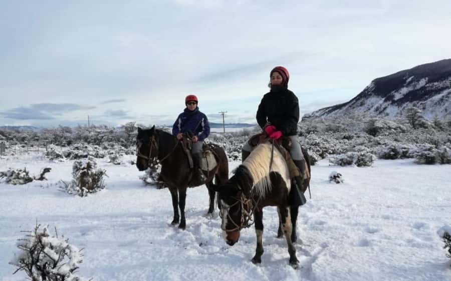 Puerto Natales: Horseback Riding to Dorotea Fjord Lookout - Who should book this horseback ride?