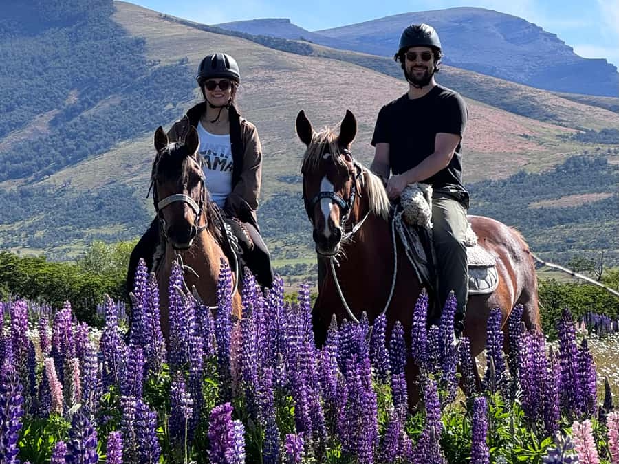 Puerto Natales: Horseback Riding with Horse Connection - Five things to know before you book