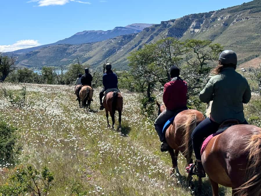 Puerto Natales: Horseback Riding with Horse Connection - Practical booking advice for Puerto Natales