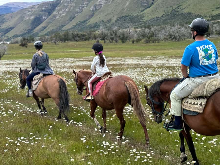 Puerto Natales: Horseback Riding with Horse Connection - Why this Puerto Natales horse ride feels different
