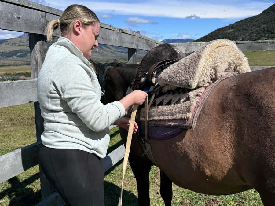 Puerto Natales: Horseback Riding with Horse Connection - The final stop: tea, treats, and unsaddling