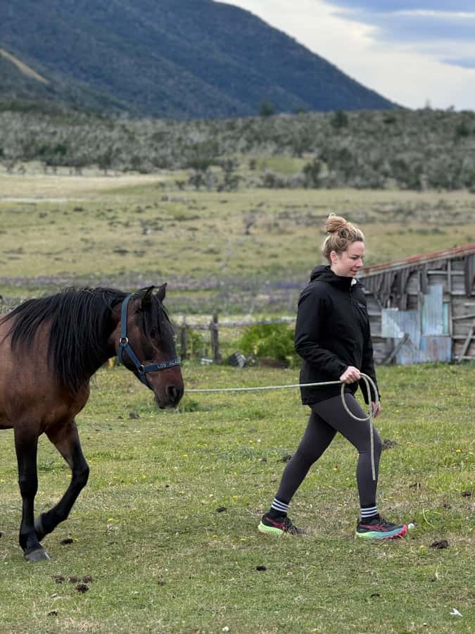 Puerto Natales: Horseback Riding with Horse Connection - What the $150 price buys you