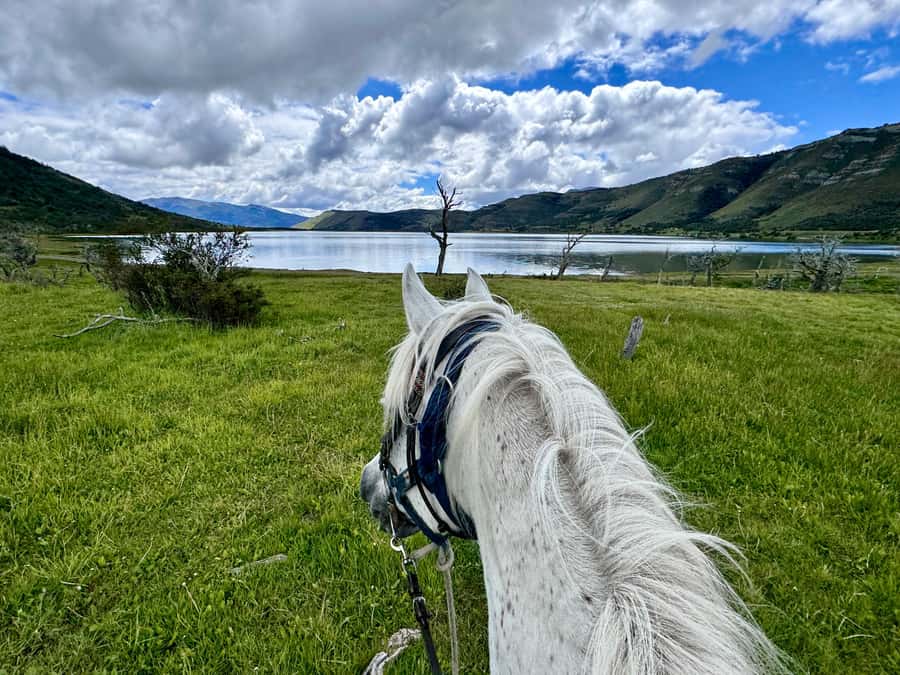 Puerto Natales: Horseback Riding with Horse Connection - Who will enjoy this experience most