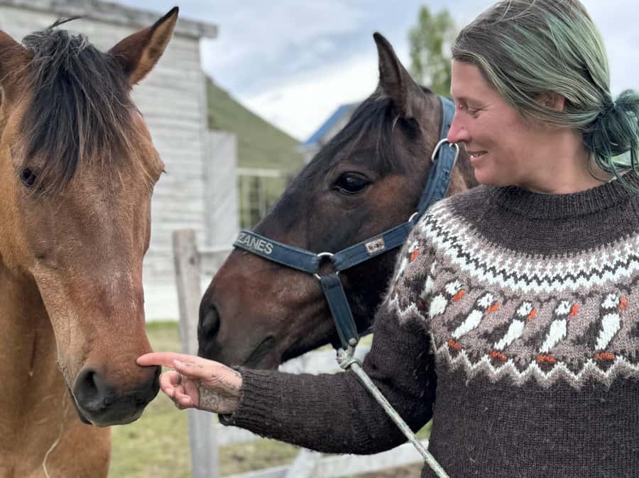 Puerto Natales: Horseback Riding with Horse Connection - Meeting the horses at Hotel Posada 3 Pasos