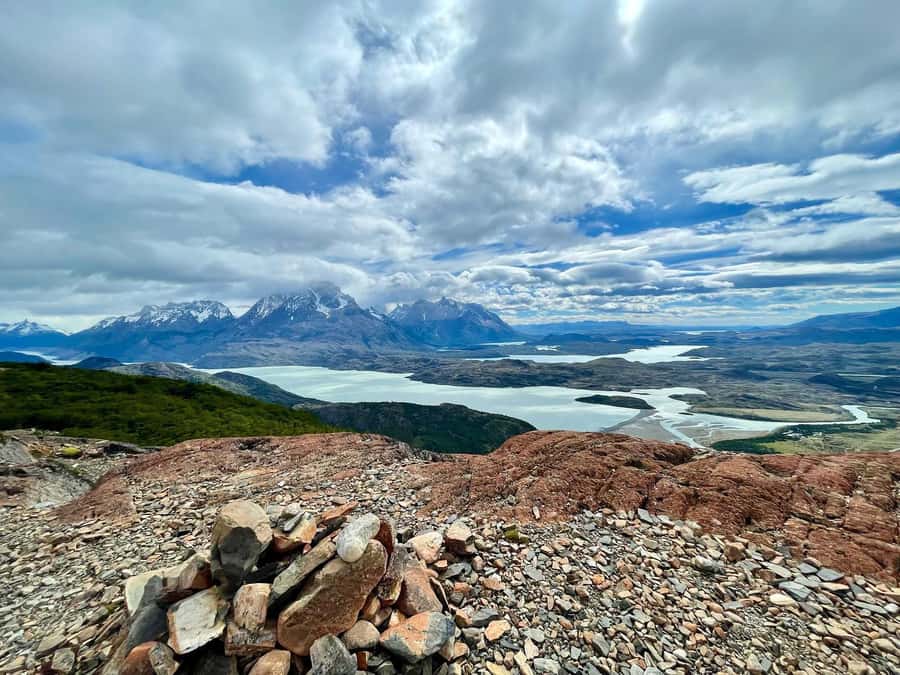 Puerto Natales: Torres del Paine Full Day Tour - Gray Lake, icebergs, and the lenga forest