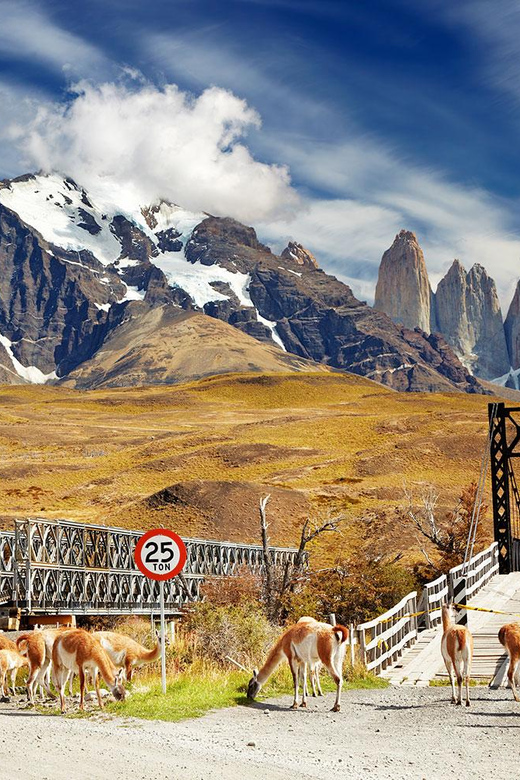 Puerto Natales: Tour Package (Full Day + Base Torres + Grey) - What to pack for all three days