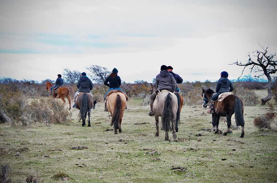 Puerto Natales: Traditional Horseback Riding Experience - Riding the trails near Puerto Demaistre