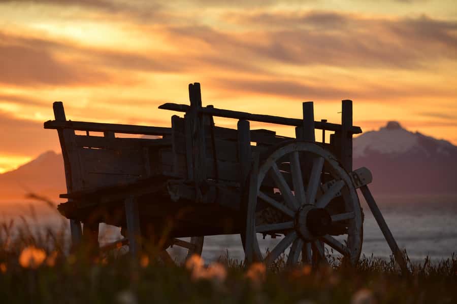 Puerto Natales: Traditional Horseback Riding Experience - Herding dogs, sheep, and the rural character