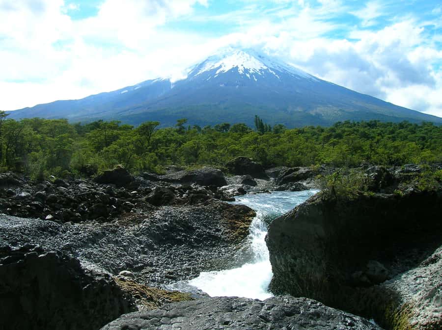 Puerto Varas: Osorno Volcano, Petrohue Falls Full-day Trip - Forest and waterfalls at Petrohué