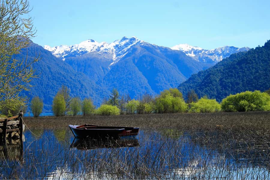 Puerto Varas: Peulla Day Trip - Guides, language, and group rhythm