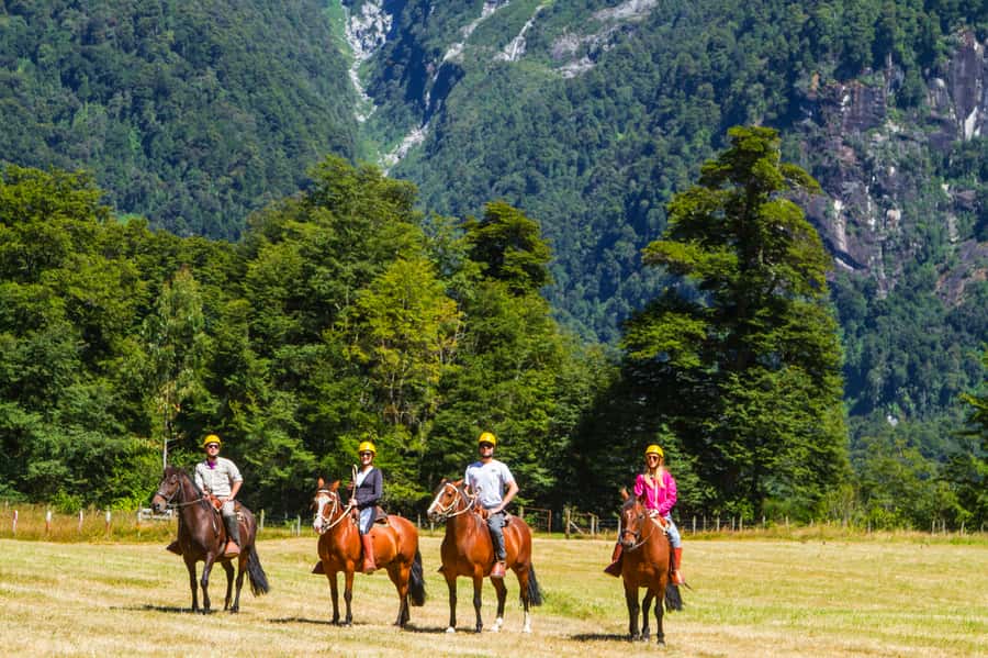 Puerto Varas: Peulla Day Trip - What to bring for the bus, falls, and boat