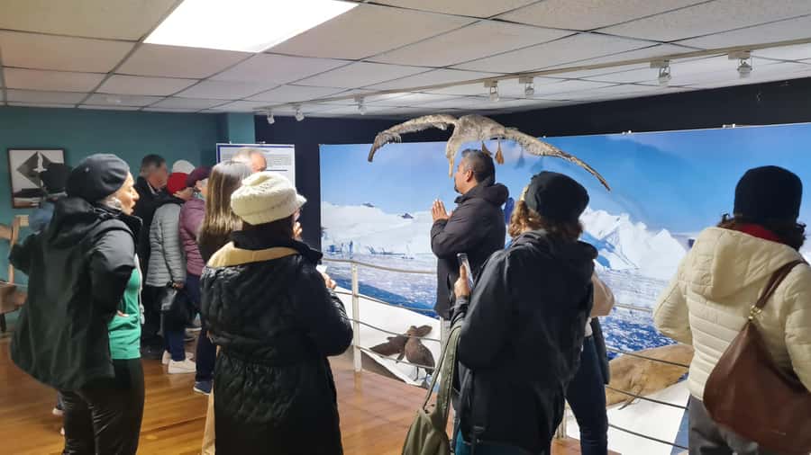 Punta Arenas: City Tour - What the guide and vehicle add