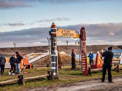 Full Day Tierra del Fuego & King Penguins