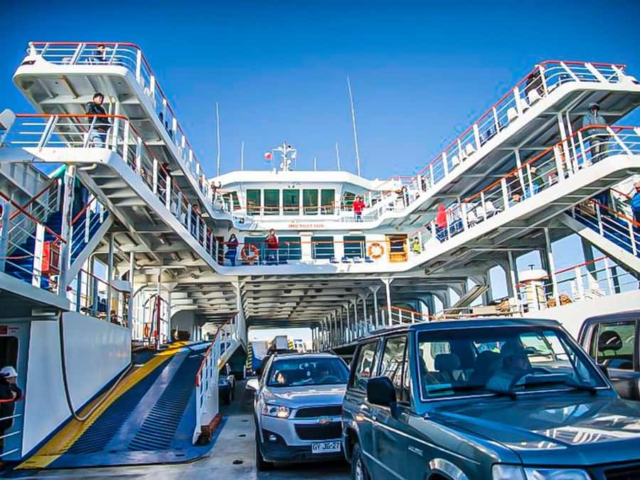 Punta Arenas: Full Day Tierra del Fuego & King Penguins - Who should book this Tierra del Fuego tour?