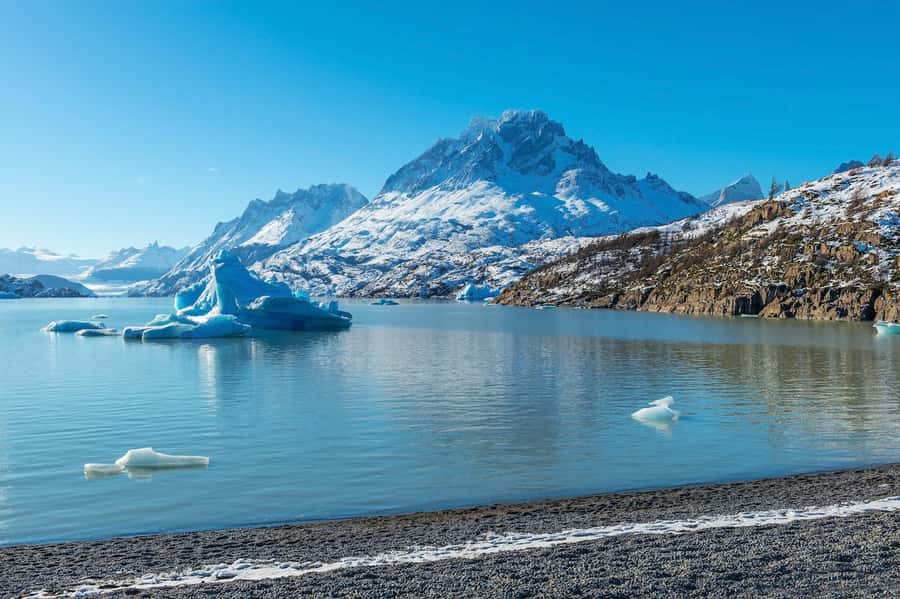 Punta Arenas: Full Day Torres del Paine + Milodon Cave - Lake Grey and the short beach walk