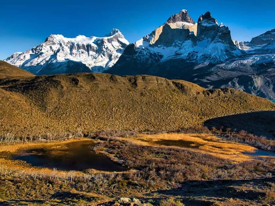 Punta Arenas: Full-Day Torres del Paine Tour - Why this long day can be worth it