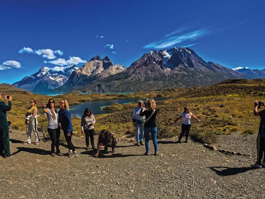 Punta Arenas: Full-Day Torres del Paine Tour - Grey Beach and icebergs from the shore
