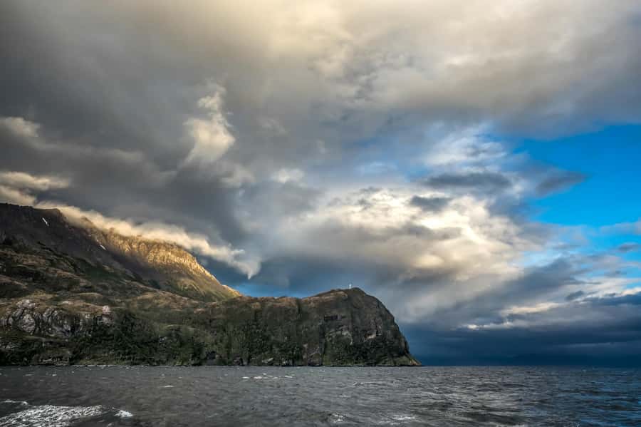 Punta Arenas: Full-Day Whales, Penguins, and Glaciers Tour - Penguins, sea lions, dolphins, and birds