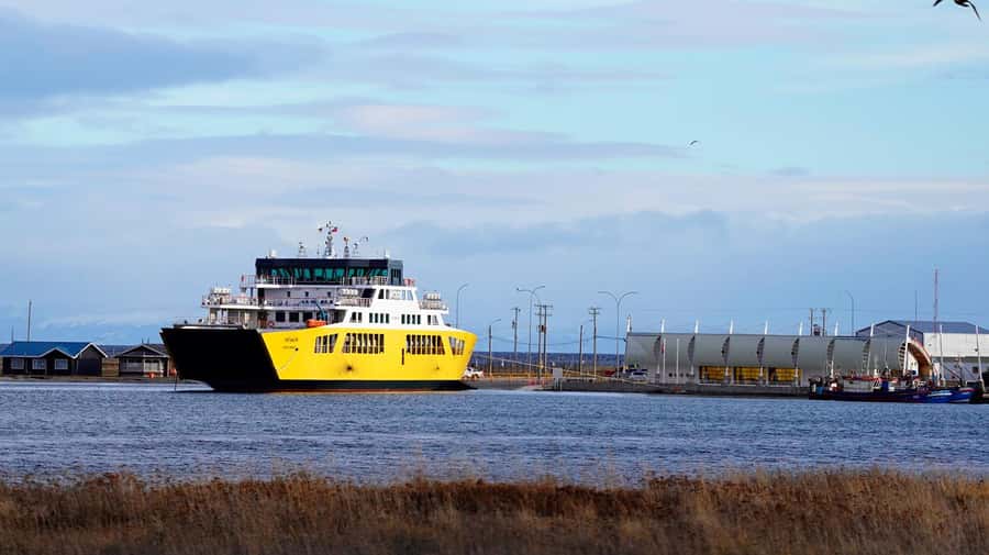Punta Arenas: King Penguin Park and Tierra del Fuego Trip - Weather, schedule changes, and comfort
