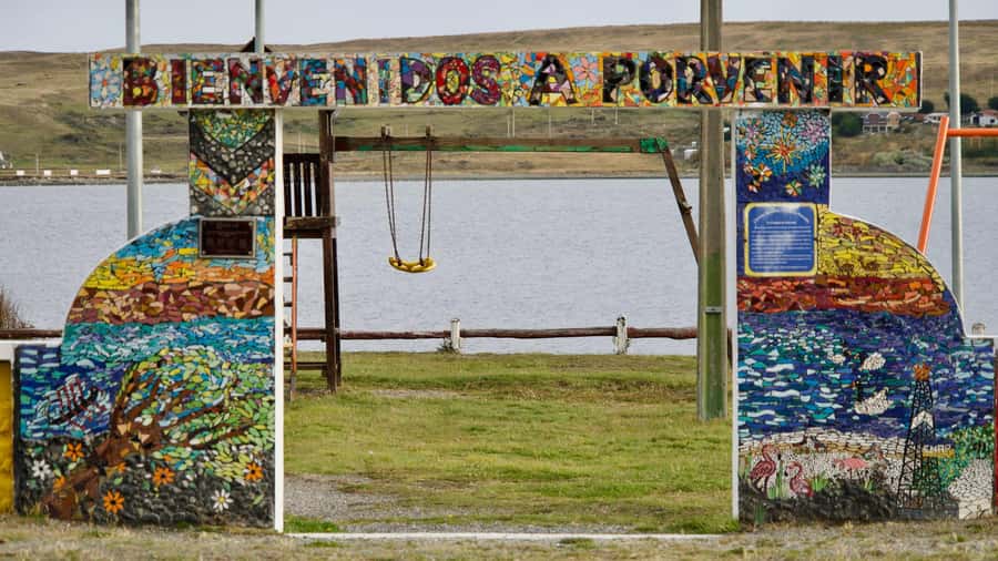 Punta Arenas: King Penguin Park and Tierra del Fuego Trip - Porvenir and Plaza Selknam