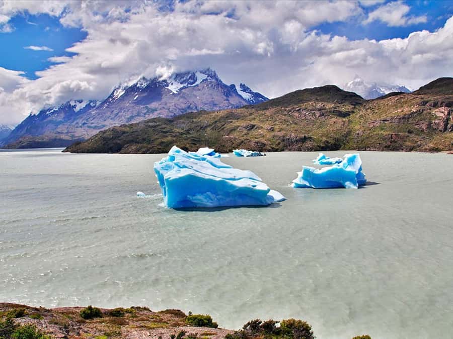 Punta Arenas: Torres del Paine & Grey Glacier Full-Day Boat - Key points to know before booking