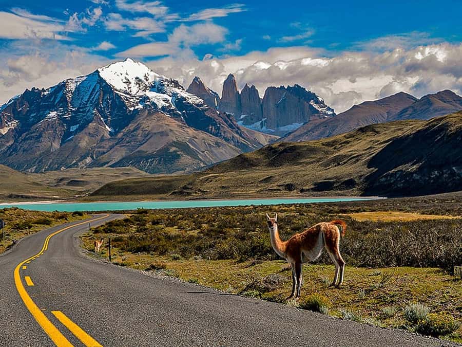 Punta Arenas: Torres del Paine & Grey Glacier Full-Day Boat - Grey Lake catamaran and the approach to Grey Glacier