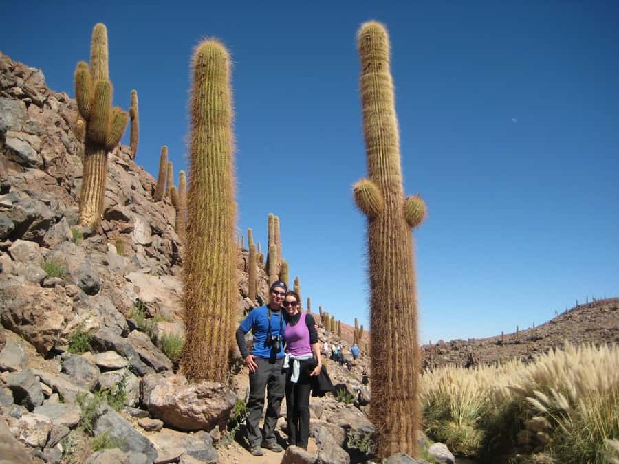 Purilibre Trekking - Key points at a glance