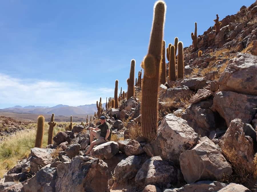 Purilibre Trekking - The Puritama pools: warm, peaceful, and not always hot