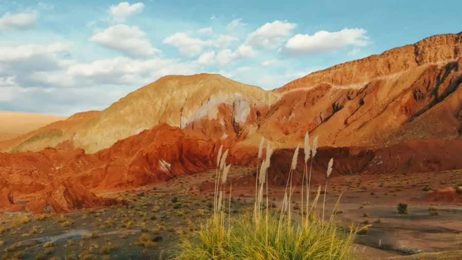 Rainbow Valley Tour: Mesmerizing Colors and Flavors - Reading the colors at Valle del Arcoiris