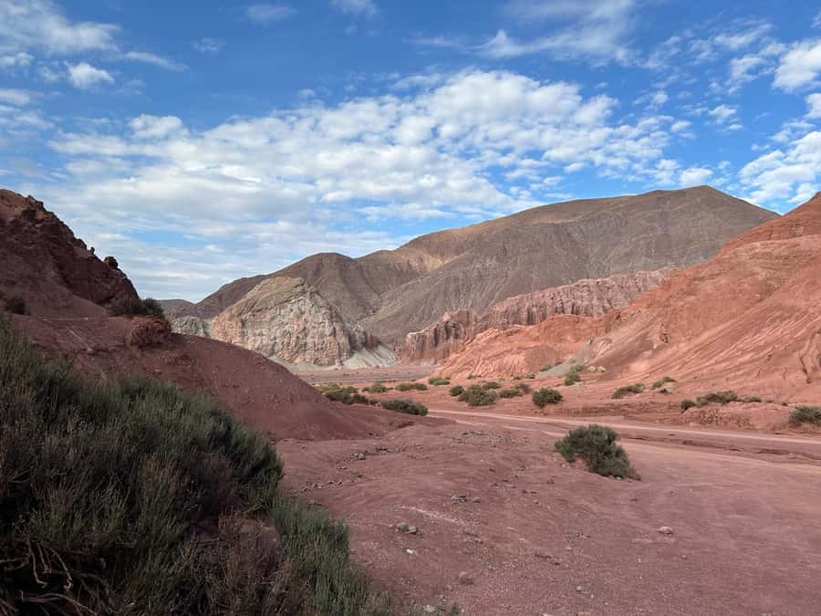 Rainbow Valley Tour + Petroglyphs (Yerbas Buenas) - Walking through the colored hills