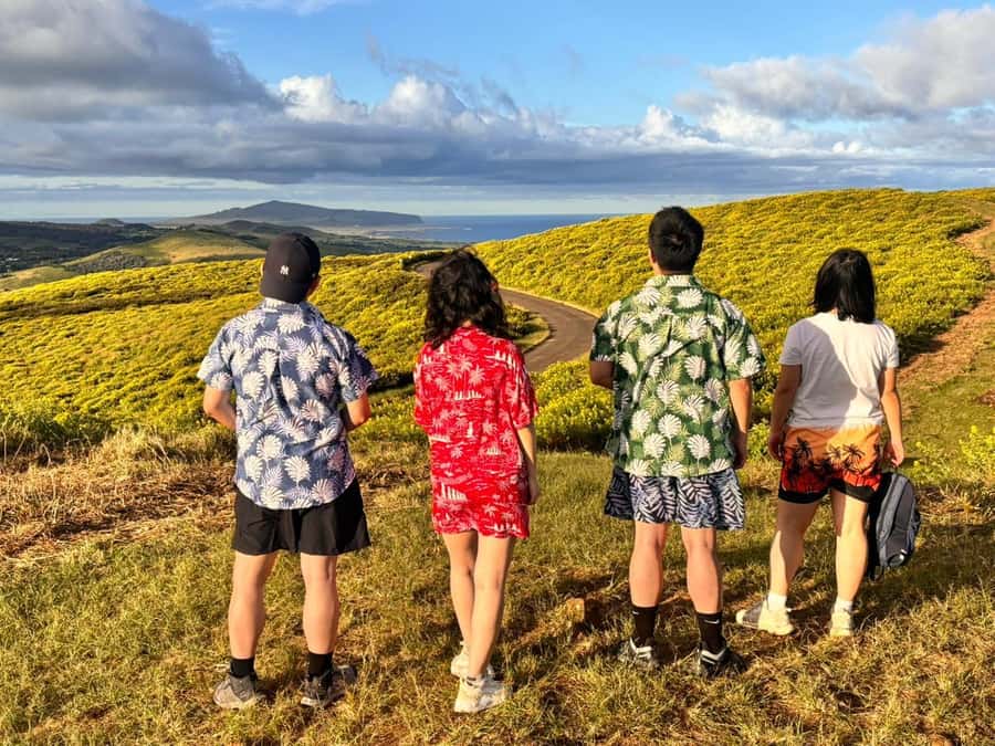 Rapa Nui: 3 Excursions with Hotel Transfers - Why this three-tour plan works on Rapa Nui