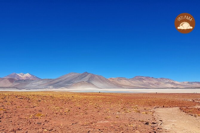 Red Stones and Altiplanic Lagoons - Why this Atacama day trip works