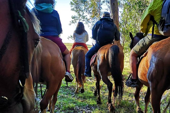 Ride to the highest point on the island for sunset - From the Vaitea Ranch to the Forest Trail