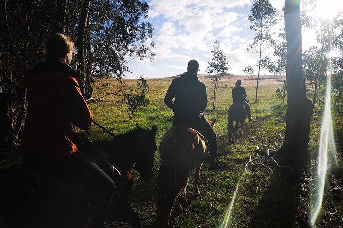 Ride to the highest point on the island for sunset - Weather, Pickup, and Planning Details