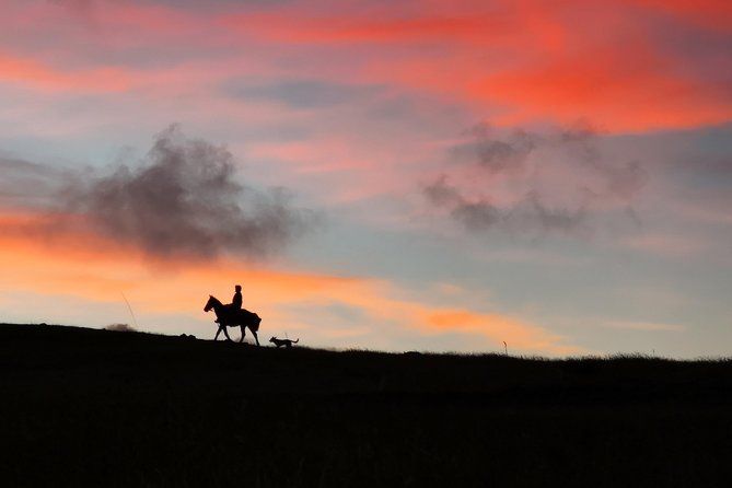 Ride to the highest point on the island for sunset - Eucalyptus Trees, Birds, and Open Pasture
