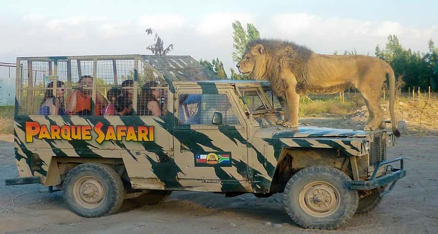 SAFARI PARK-TOUR RANCAGUA : CHILE - What kind of safari is this?