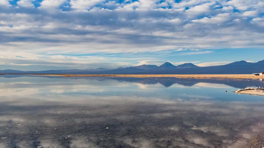 Salar de Atacama and altiplanic lagoons - Reaching 4,200 meters at Miscanti and Miñiques
