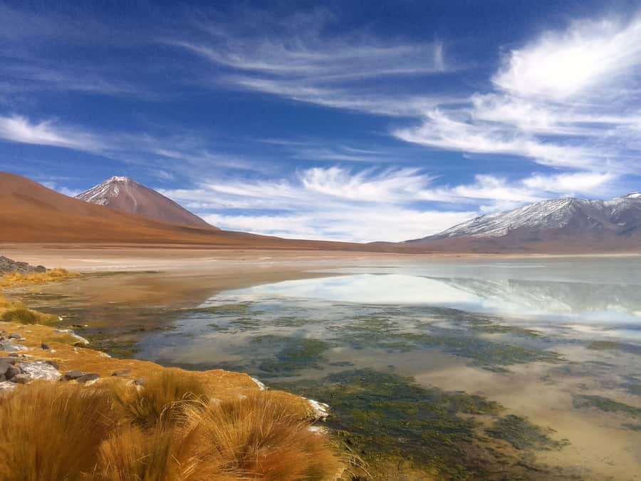San Pedro de Atacama: 3 D. Tour Uyuni and Back to San Pedro - Day Three: Train Cemetery, Lake Catal, and the Return to Chile