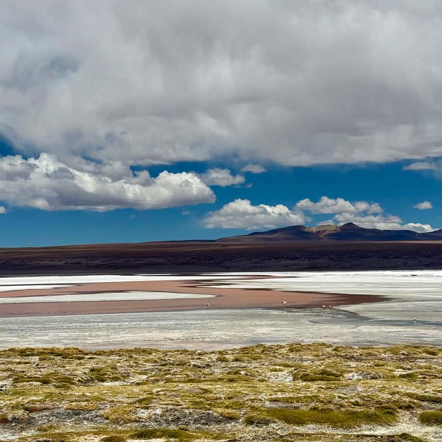 San Pedro de Atacama: 3 D. Tour Uyuni and Back to San Pedro - What the $750 Price Really Buys