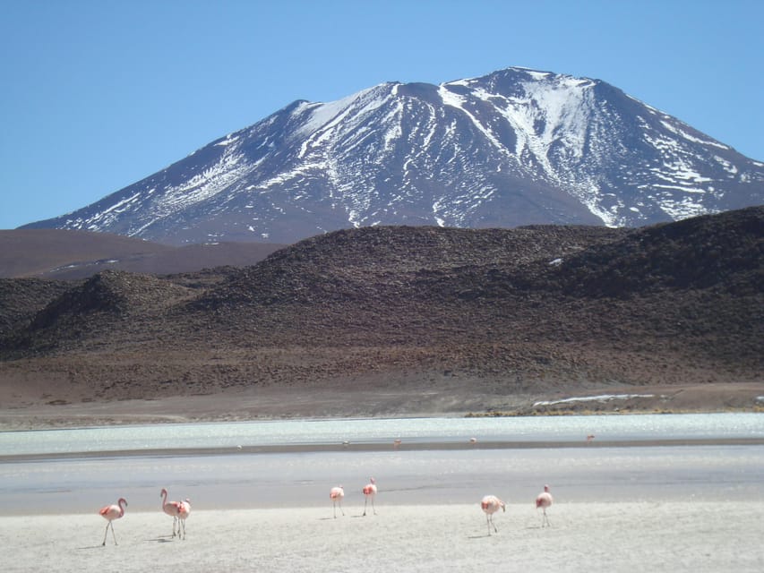 San Pedro de Atacama: 3 D. Tour Uyuni and Back to San Pedro - Who Should Book This Uyuni Tour?