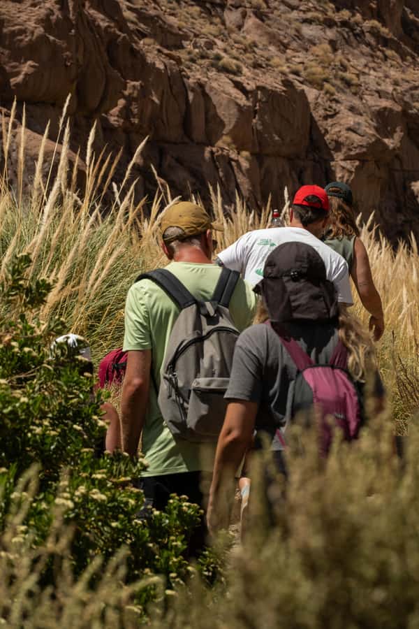 San Pedro de Atacama: Canyon Swimming Pools Trekking Trip - Cacti, canyon walls, and the slower side of the Atacama