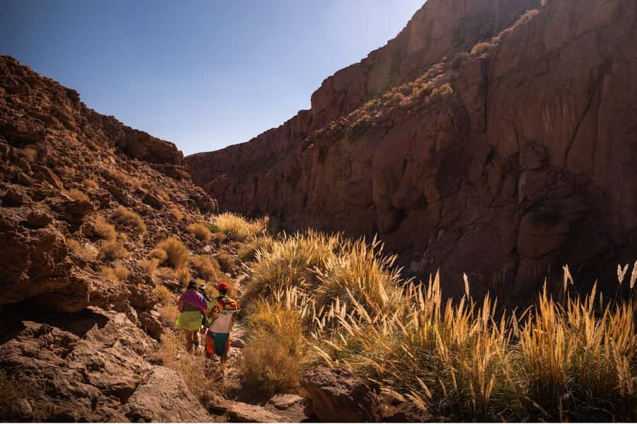 San Pedro de Atacama: Canyon Swimming Pools Trekking Trip - What the $53 price really gets you