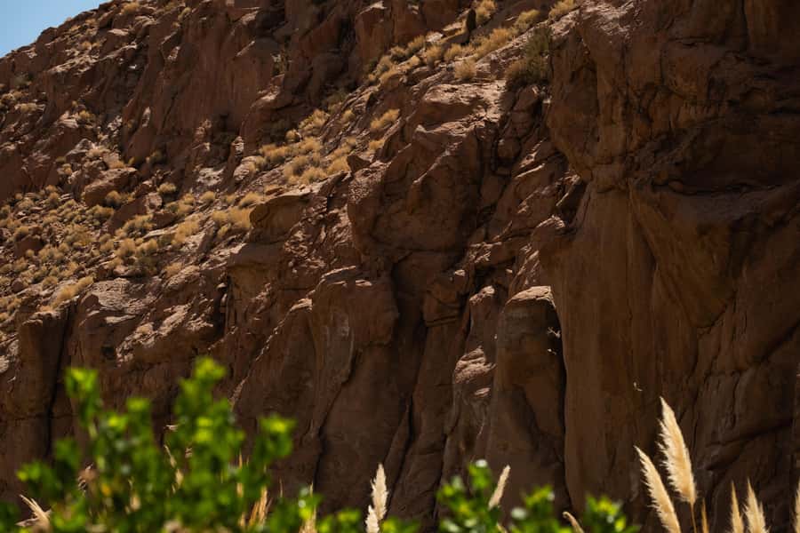 San Pedro de Atacama: Canyon Swimming Pools Trekking Trip - Who should choose this canyon and pool trip?