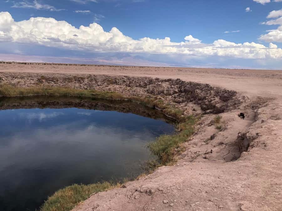 San Pedro de Atacama: Cejar Lagoon, Tebenquiche & Ojos Salar - Leaving San Pedro for the salt flat