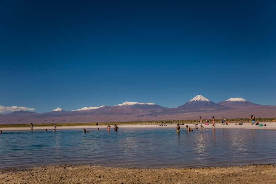 San Pedro de Atacama: Cejar Lagoon, Tebenquiche & Ojos Salar - Ojos del Salar, two blue circles in the desert