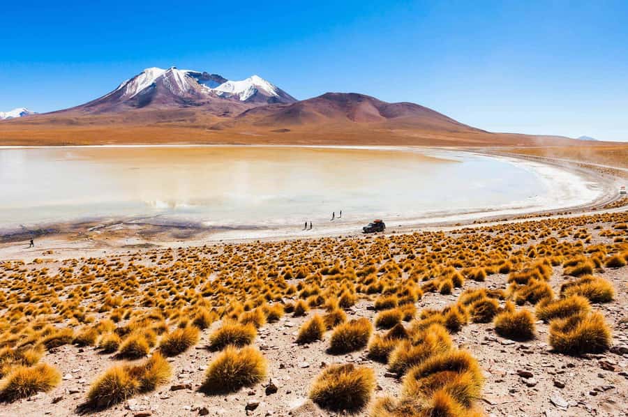 San Pedro de Atacama Day Trip: Atacama Desert and Salt Flats - What this $85 Atacama day trip actually covers