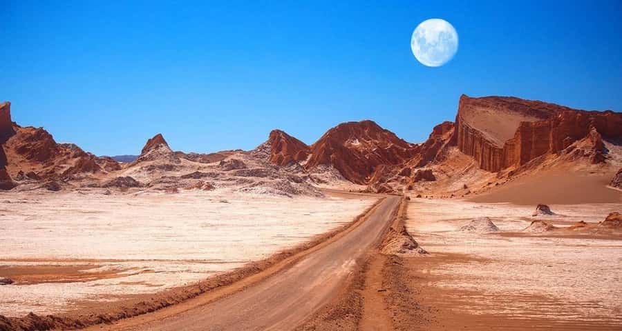 San Pedro de Atacama Day Trip: Atacama Desert and Salt Flats - Outdoor lunch, with one important caveat