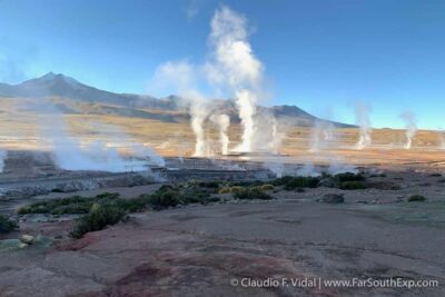 El Tatio Geyser Field and Wetlands
