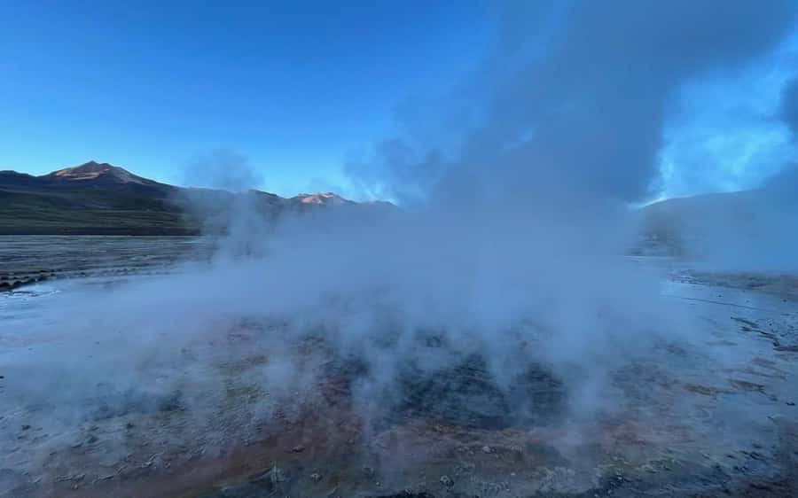 San Pedro de Atacama: El Tatio Geyser Field and Wetlands - The Putana Wetlands and the quieter side of the Altiplano
