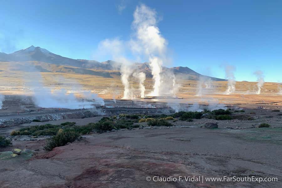 San Pedro de Atacama: El Tatio Geyser Field and Wetlands - El Tatio, steam, sun, and more than 80 geysers